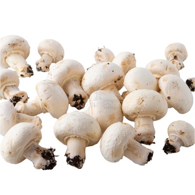 Шампиньоны свежие 500 г - купить в Лахденкюля